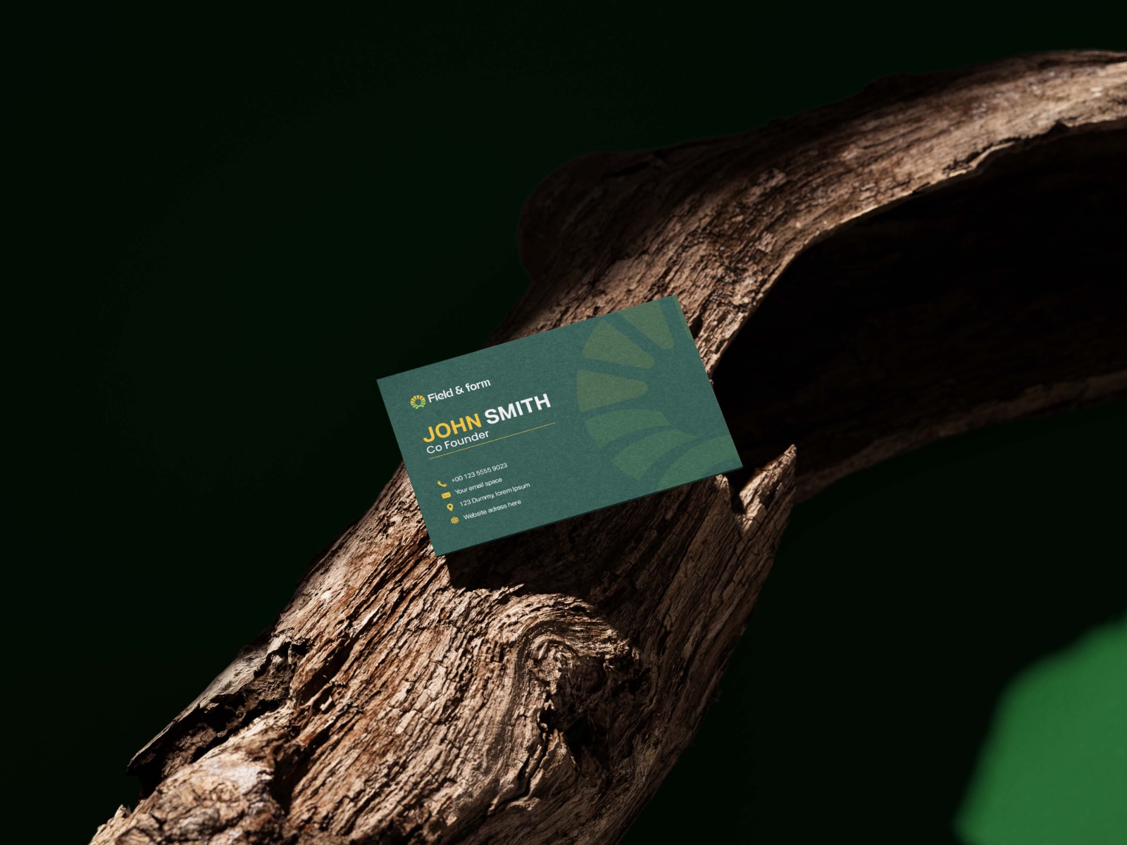 Field & Form gallery 3