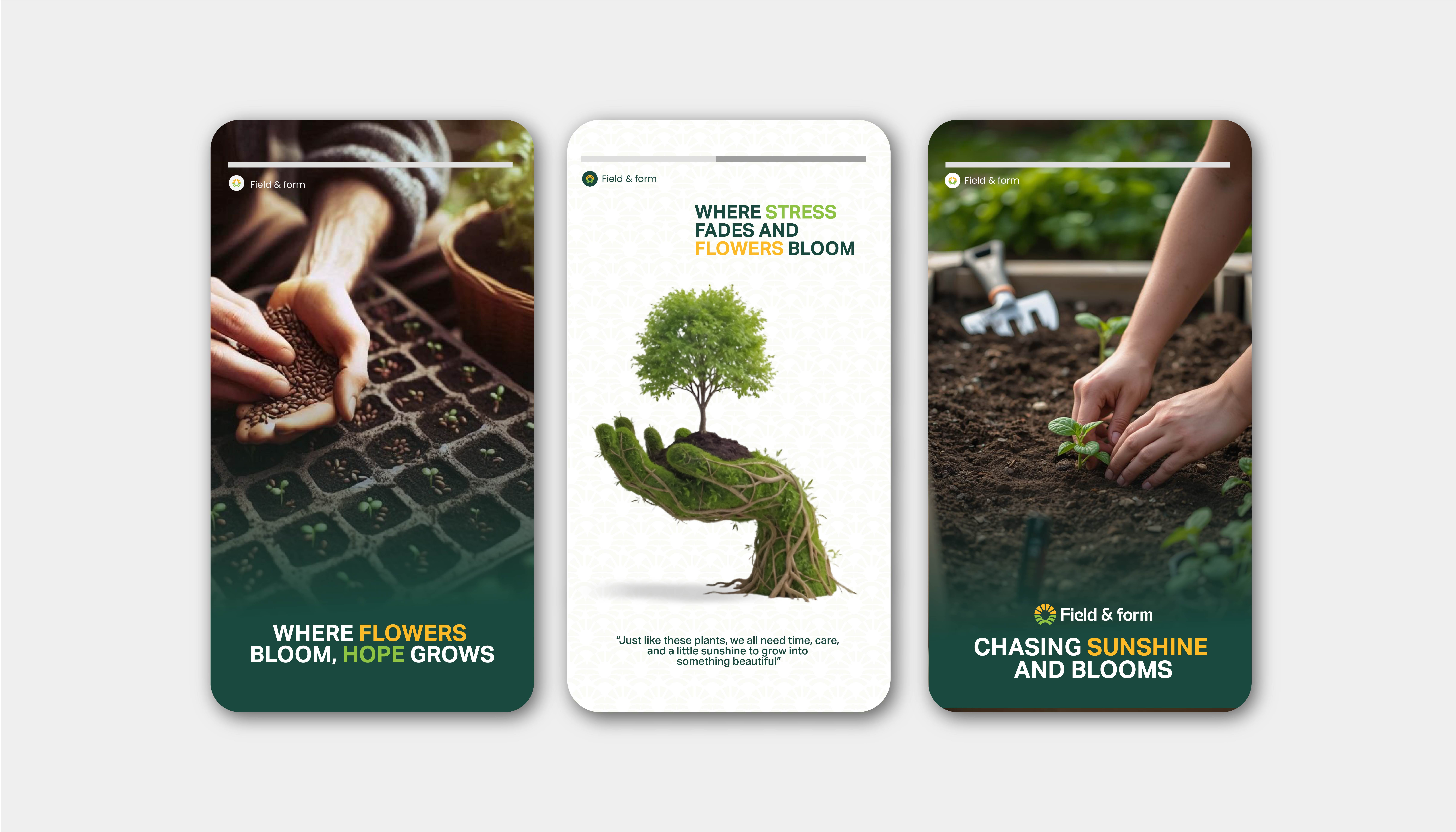 Field & Form gallery 6